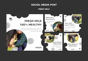 PSD grátis postagens de mídia social de leite fresco
