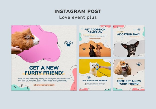 Postagens do instagram de adoção de animais de estimação