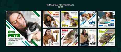 PSD grátis postagens do instagram de cuidados com animais de estimação de design plano