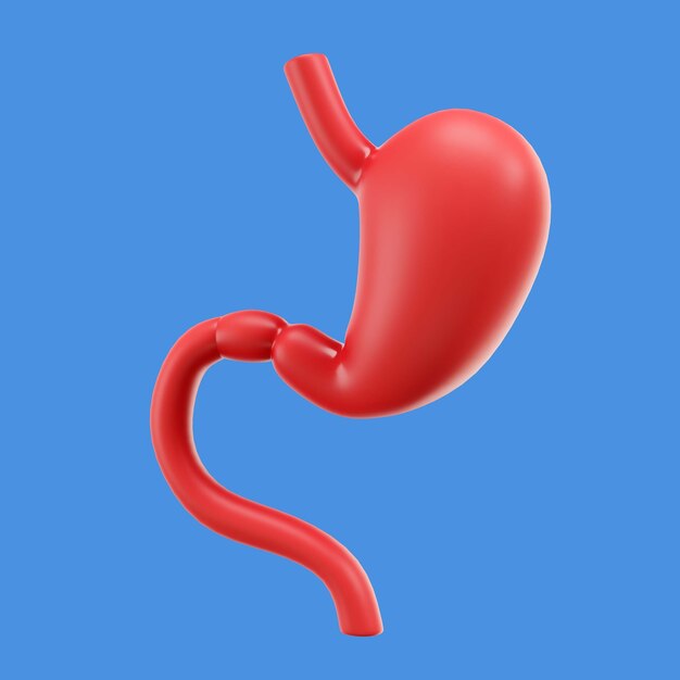renderização 3D do ícone do corpo humano