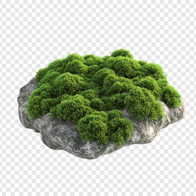 Um musgo verde exuberante numa rocha cinzenta, uma cena natural.
