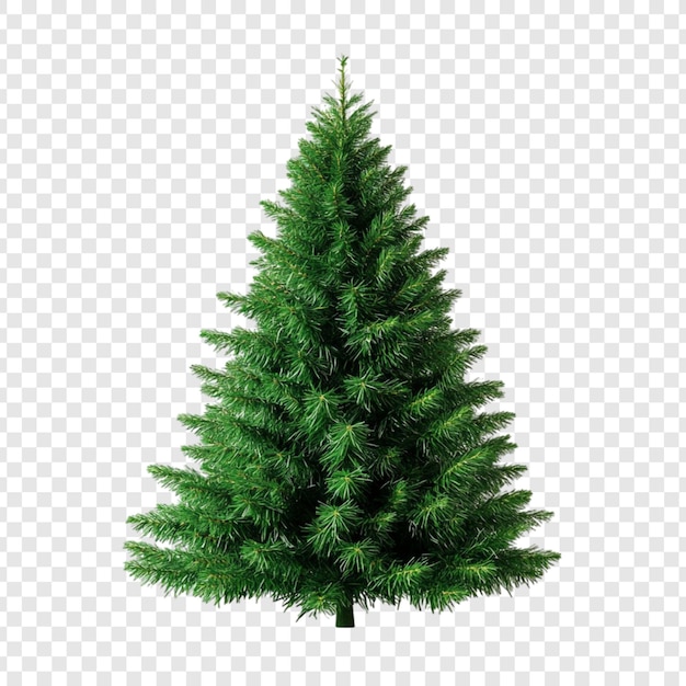 Uma árvore de Natal verde e exuberante, perfeita para as férias
