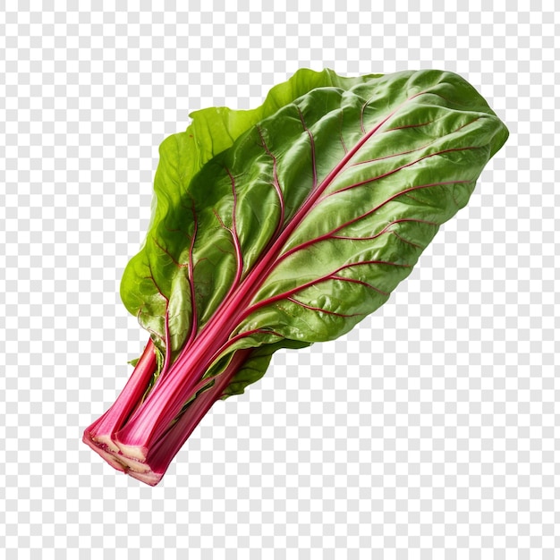 PSD grátis vegetal de acelga fresca png isolado em fundo transparente