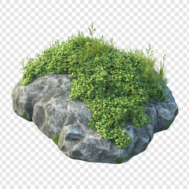 Verde exuberante no topo de uma rocha cinzenta uma cena natural
