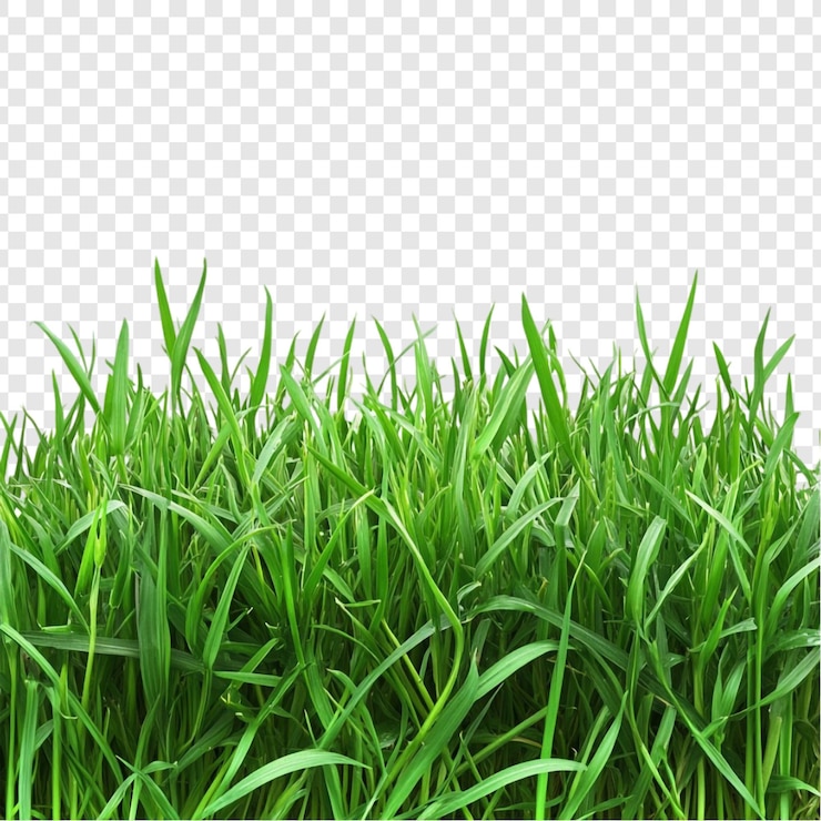 PSD grátis vibrante textura de grama verde fundo de prado exuberante
