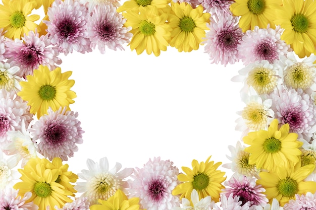 Vista de belas flores em floração