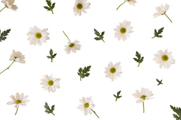 Vista de belas flores em floração