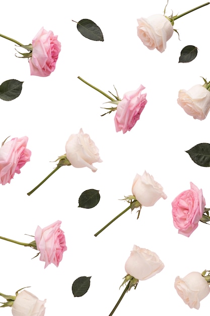Vista de belas flores em floração