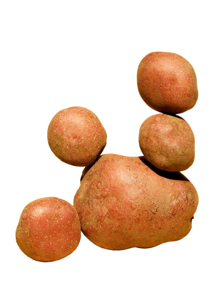 PSD grátis vista de legumes frescos e saudáveis