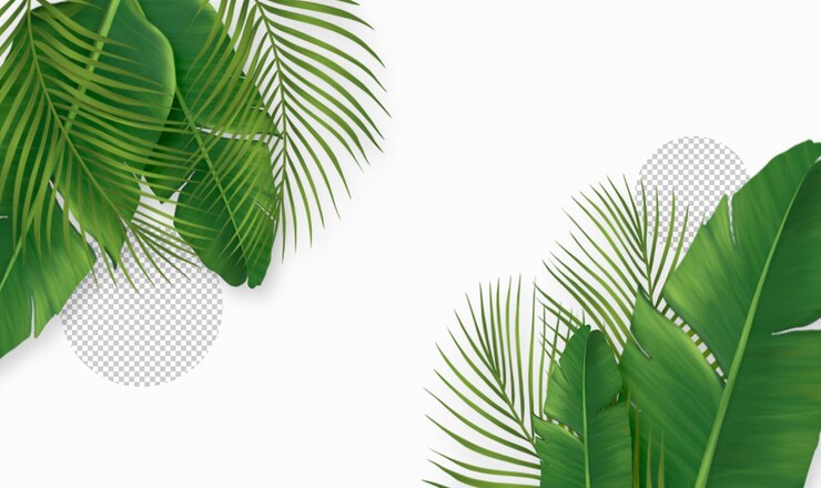 Miễn phí PSD abstract green leaves frame with copy space