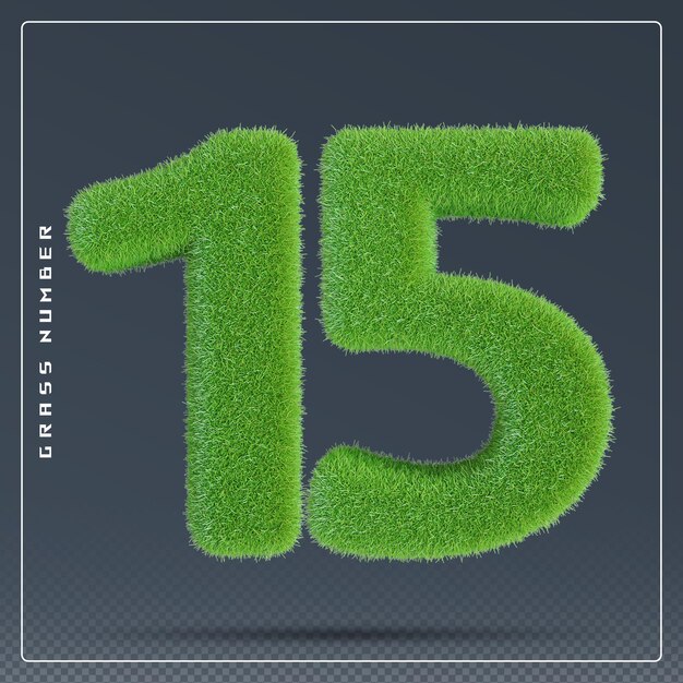15 numero erba verde render 3d