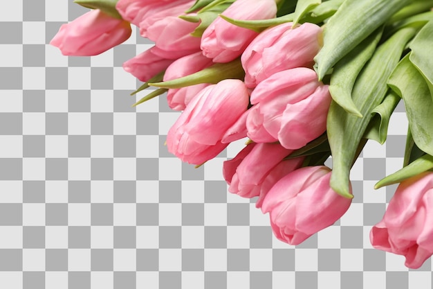 2701 2020 8 marzo 2020 Tulipani 7