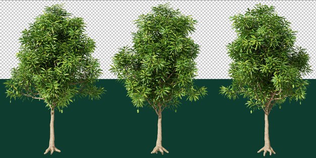 3 árboles aislados para editor