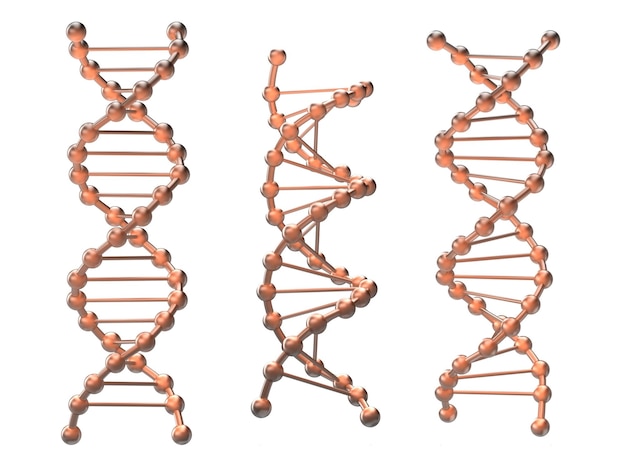 PSD 3 genetische form