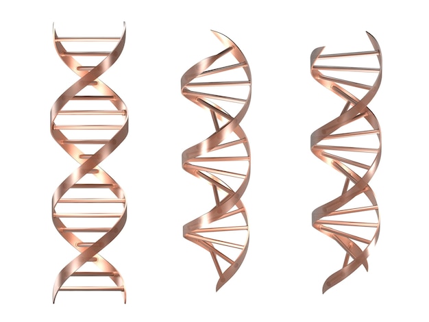 PSD 3 genetische form