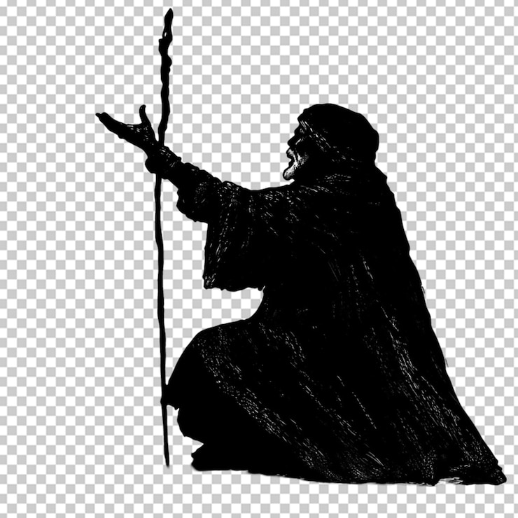 PSD 34 vista silueta negra dibujo ilustrado sobre un fondo transparente