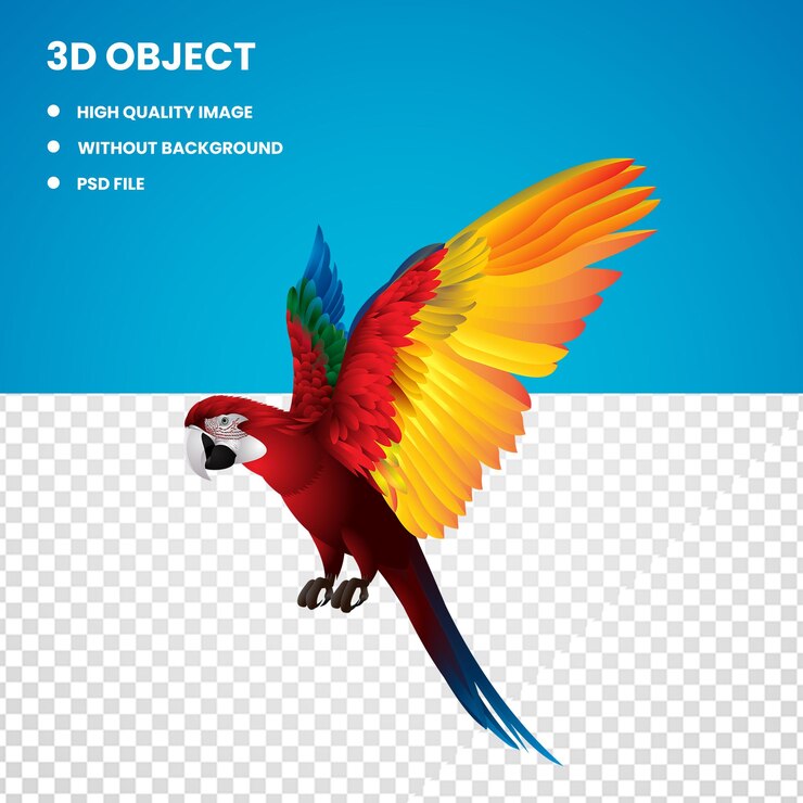 PSD 3d ara rossa e gialla