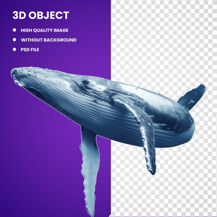 PSD 3d baleia jubarte baleia azul golfinho golfinho comum golfinho nariz de garrafa