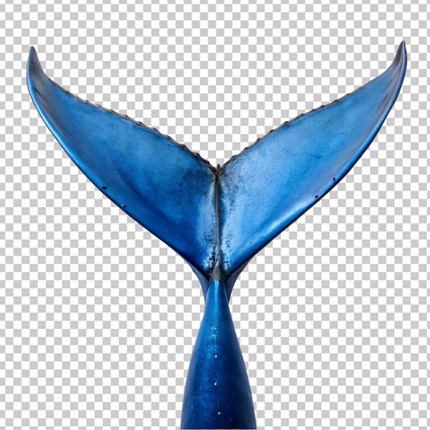 PSD 3d baleine à bosse baleine bleue dauphin dauphin à nez de bouteille