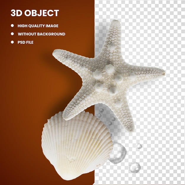 3d beige sea star and shell seashell gratis pearl