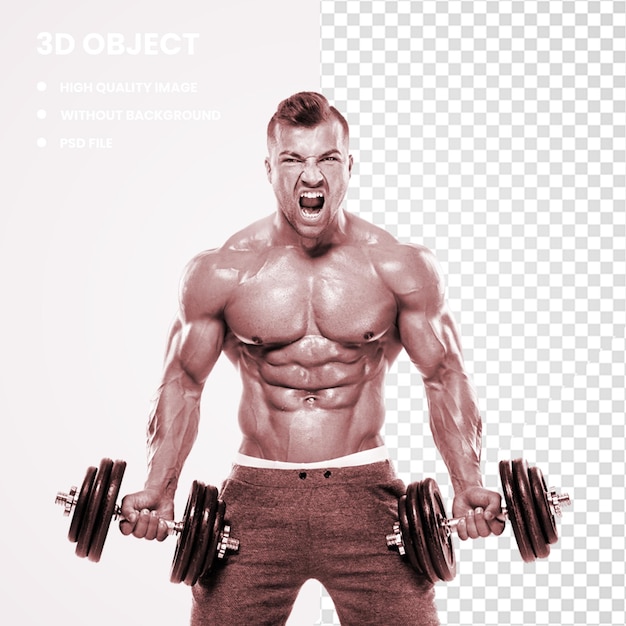 PSD 3d bodybuilding dumbbell exercício treinamento de peso fitness center amp bodybuilder amp físico fitness