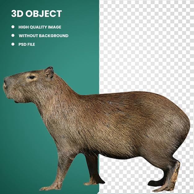 3d Capybara Hirsch Nagetier Nördliche Pudu-Grafik