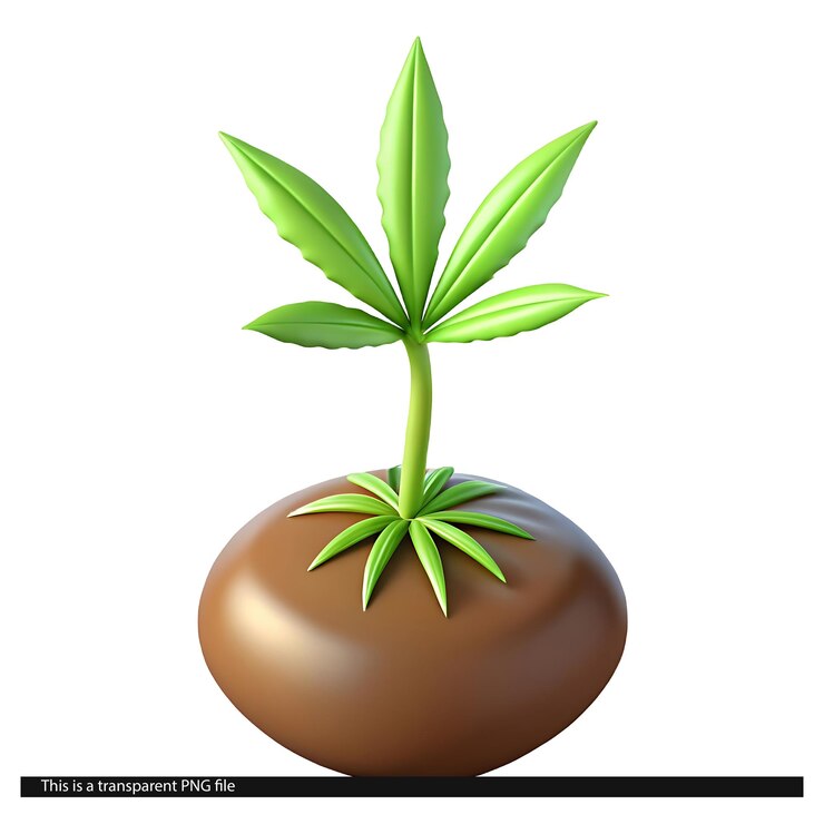 PSD 3d cartoon cannabis plant