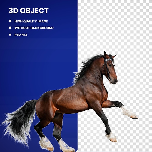 3d cavalo de Clydesdale Lipizzan White Equestrianism Bay