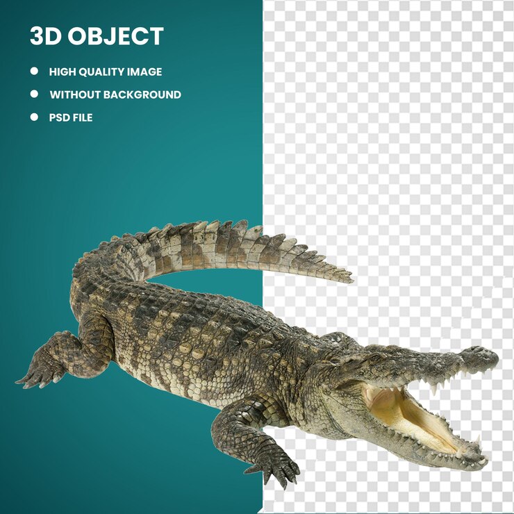 PSD 3d cocodrilo gris cocodriles cocodrilo chino animales cocodrilo