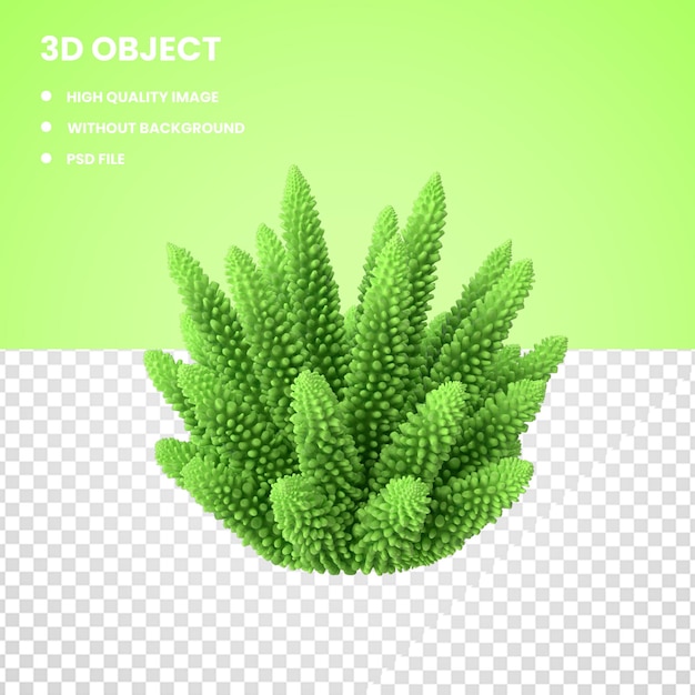 3d Corail 1 Vert