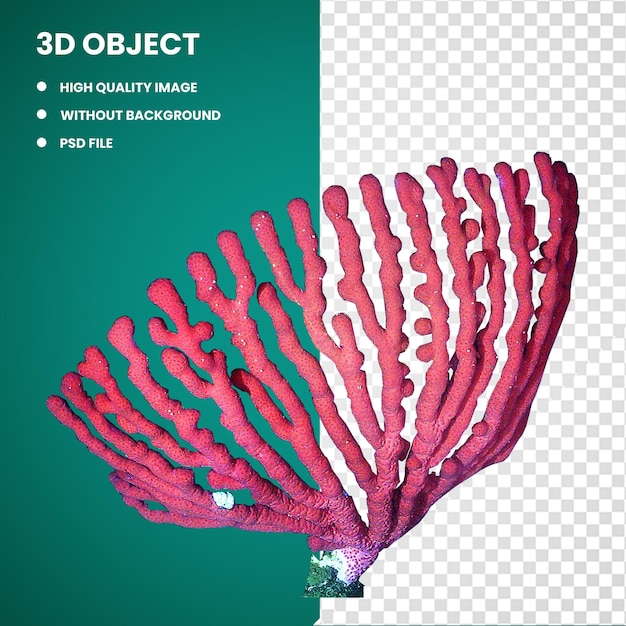 PSD 3d corail rose récif corallien corail d'eau profonde