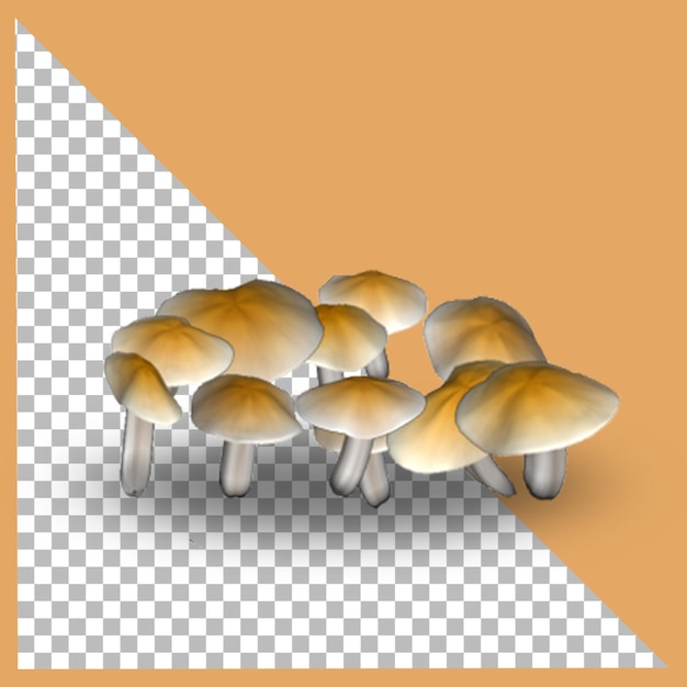 3D Cortinarius mushroom plant isolated with transparency