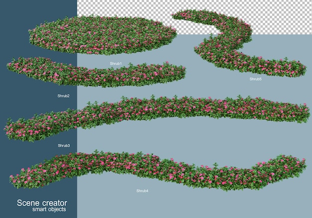 3d-darstellung der sträucheranordnung isoliert