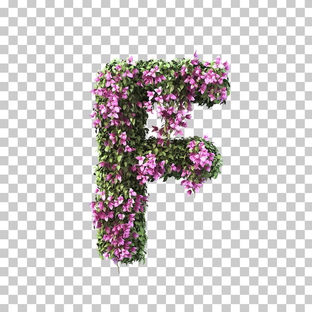 3D-Darstellung des Bougainvillea-Alphabets F.