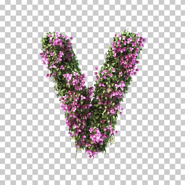 3d-darstellung des bougainvillea-alphabets v.