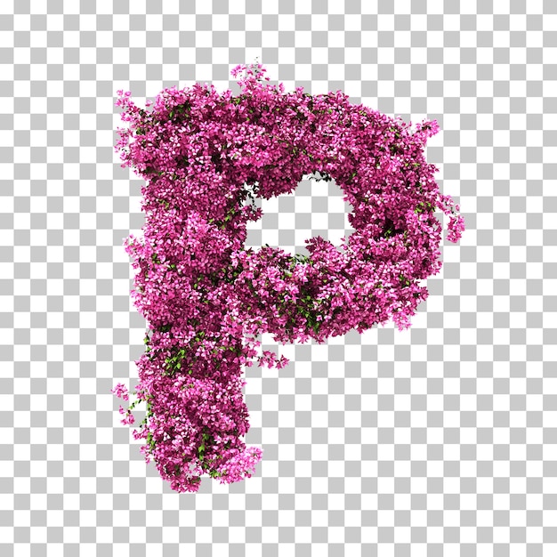 3d-darstellung des bougainvillea-buchstabens p.