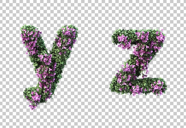 3D-Darstellung des Bougainvillea-Buchstabens y und des Buchstabens z