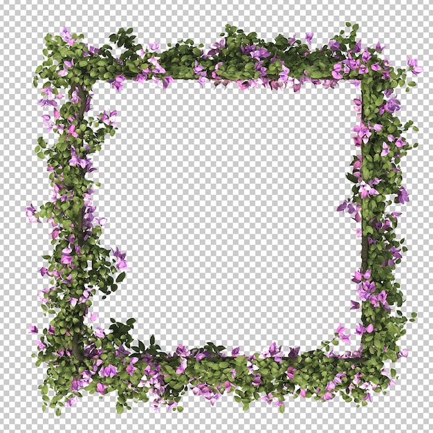 3D-Darstellung des quadratischen Rahmens von Bougainvillea