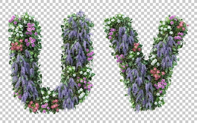 3D-Darstellung des vertikalen Blumengartenalphabets U und des Alphabets V isoliert