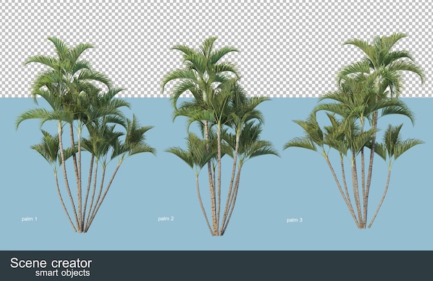 PSD 3d-darstellung verschiedener arten von palmen