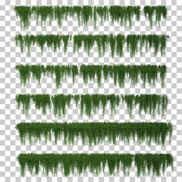 3D-Darstellung von Bougainvillea-Blättern eingestellt