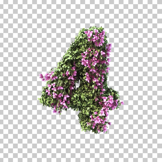 3d-darstellung von bougainvillea nummer 4