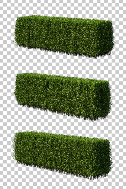 3d-darstellung von buxus microphylla