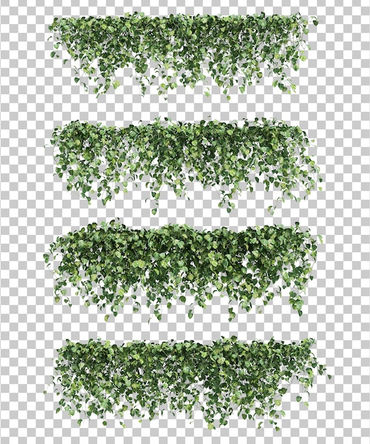 3D-Darstellung von Epipremnum aureum