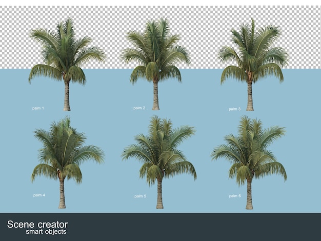 3d-darstellung von kokospalmen und palmen