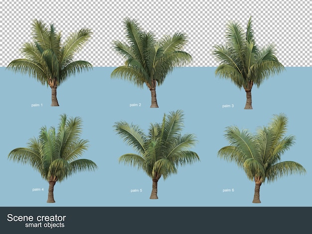 3D-Darstellung von Kokospalmen und Palmen