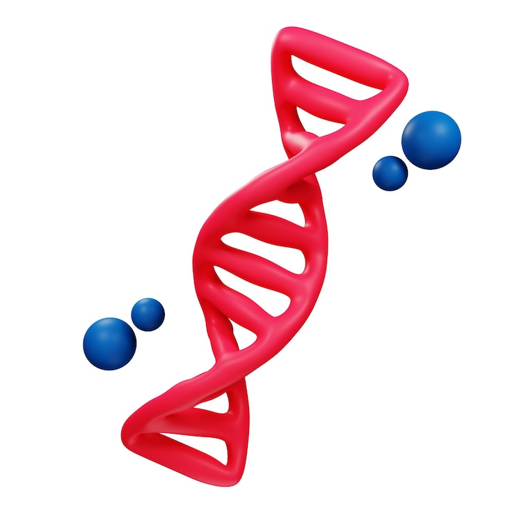 PSD 3d dna icon isolated on the transparent background