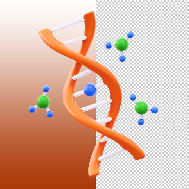 3D-DNA-Modell