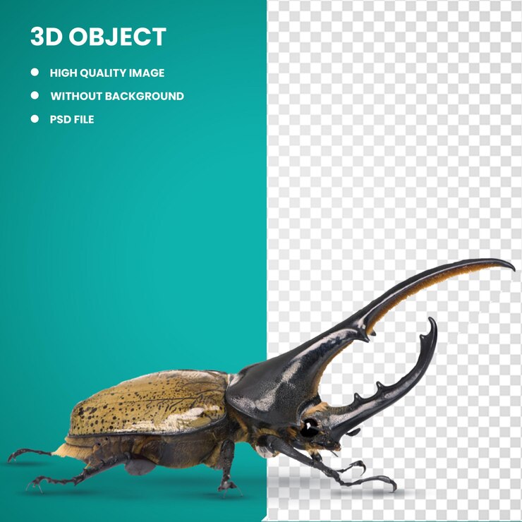 PSD 3d escarabajo hércules gráfico de escarabajos rinocerontes