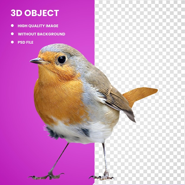 3d Eurasische Robin-Vogelillustration
